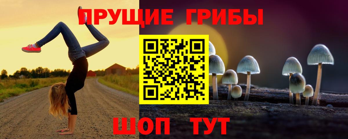 Прохладный  Псилоцибиновые грибы Magic Shrooms  Галлюциногенные грибы мицелий  Вход с VPN 